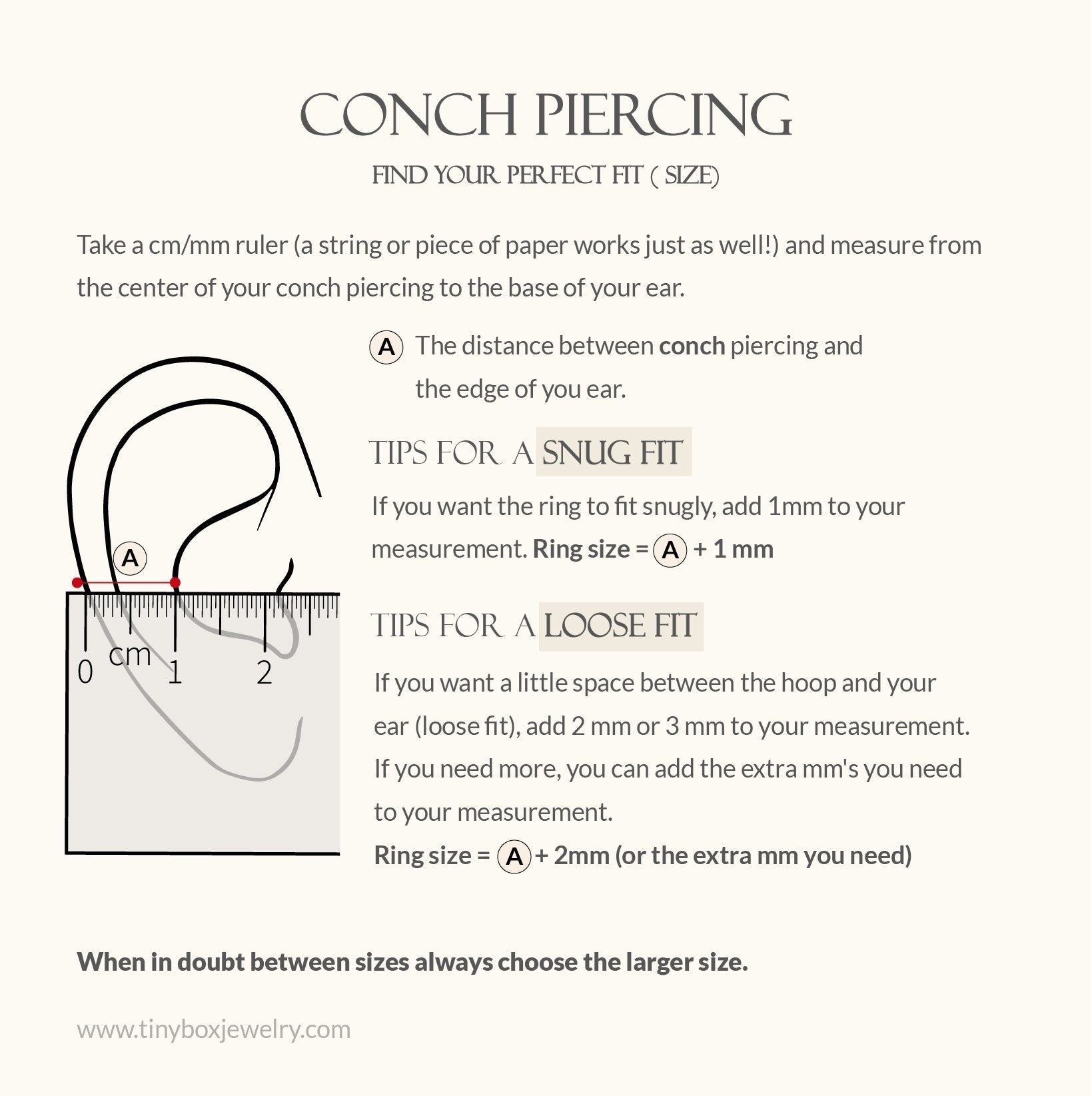 Double Hoop Conch Earring Gold - TinyBox Jewelry