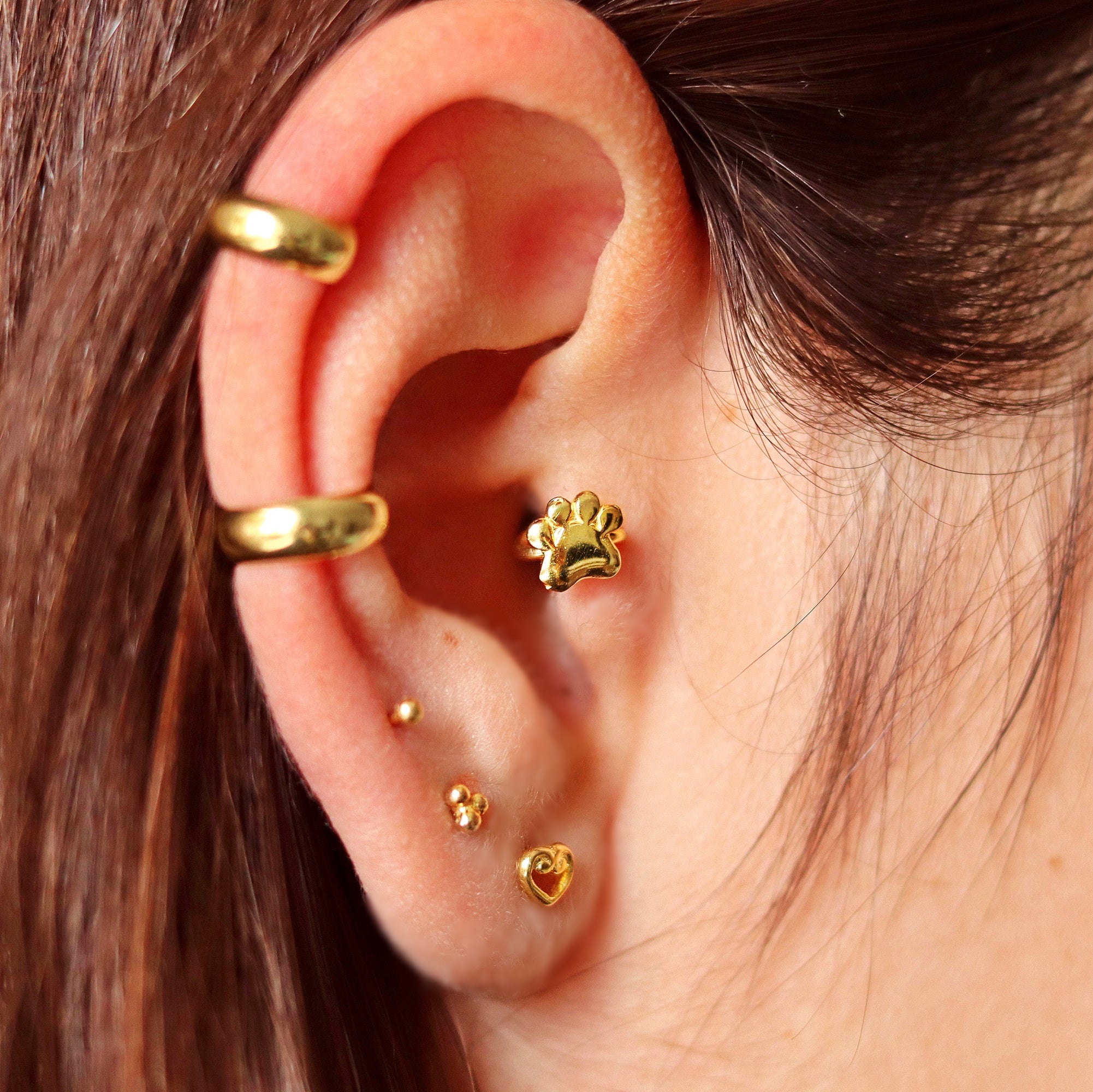 Paw Print Helix Earring, Helix Piercing